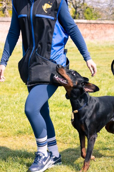 A person in a blue and black vest interacts playfully with a dog outdoors.