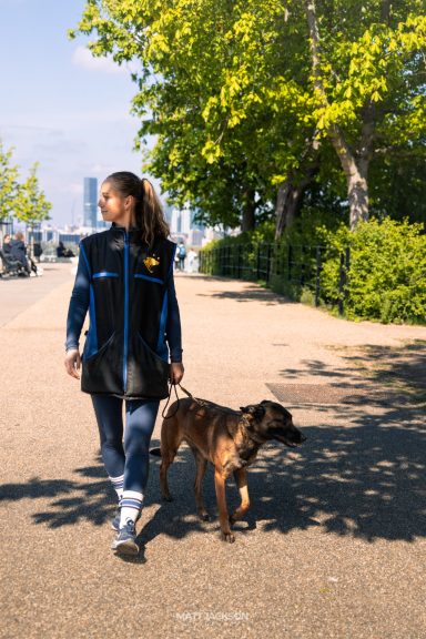 A person in a blue jacket walks a brown dog along a pathway lined with greenery.