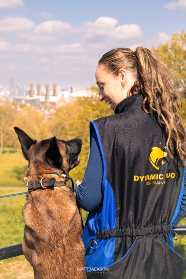 A handler in a blue vest with a dog, overlooking a scenic urban landscape.